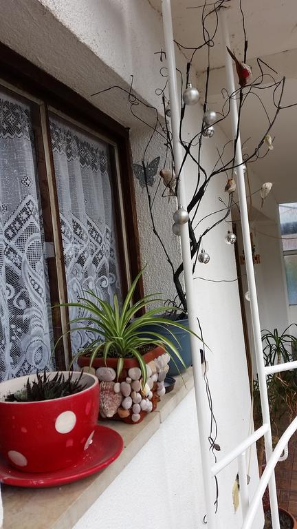Apartments Aida Bihać Dış mekan fotoğraf